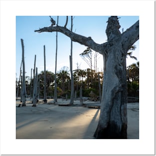 Driftwood Beach Statues Posters and Art